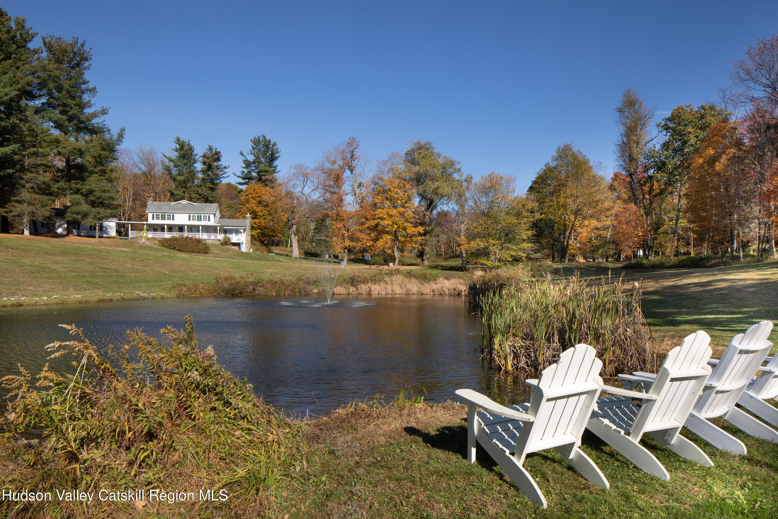 View from the pond