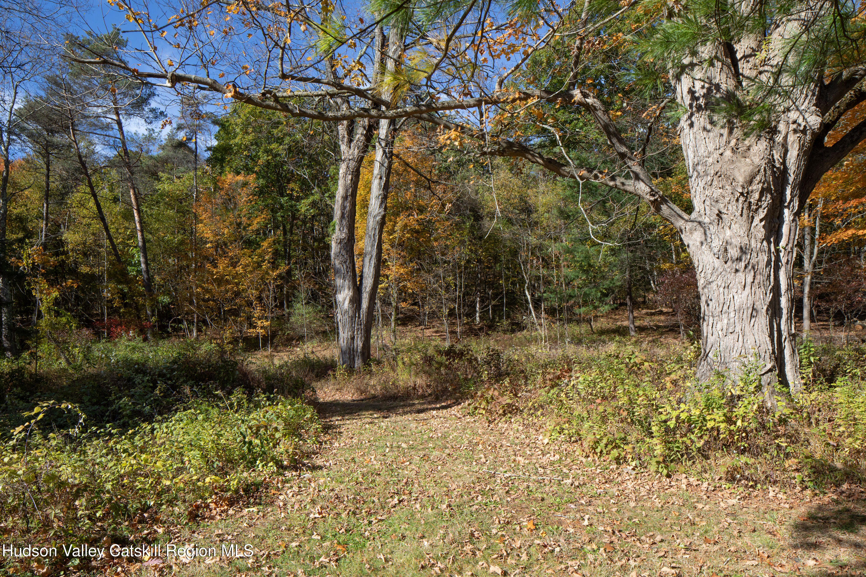 321 Tompkins Road Ancram, NY 12502 - Photo 25 of 54 walking trail