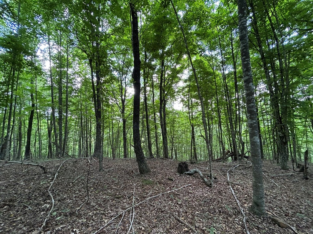 Tbd Laurel Fork Road, Unit 52A Dugspur, VA 24325 - Photo 10 of 15 Gallery Image 10