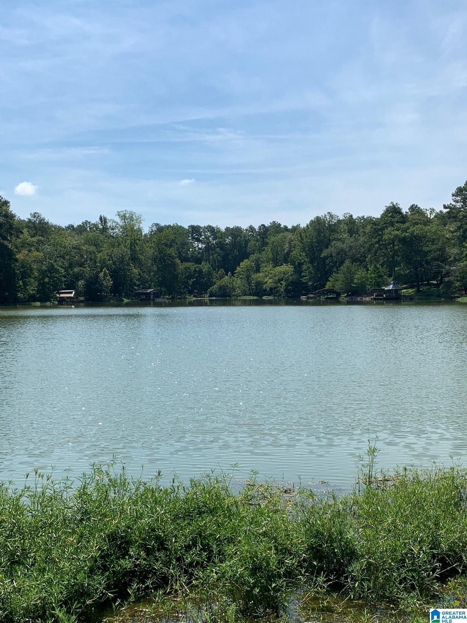 84 County Road 727, Unit 1 Montevallo, AL 35115 - Photo 1 of 4
