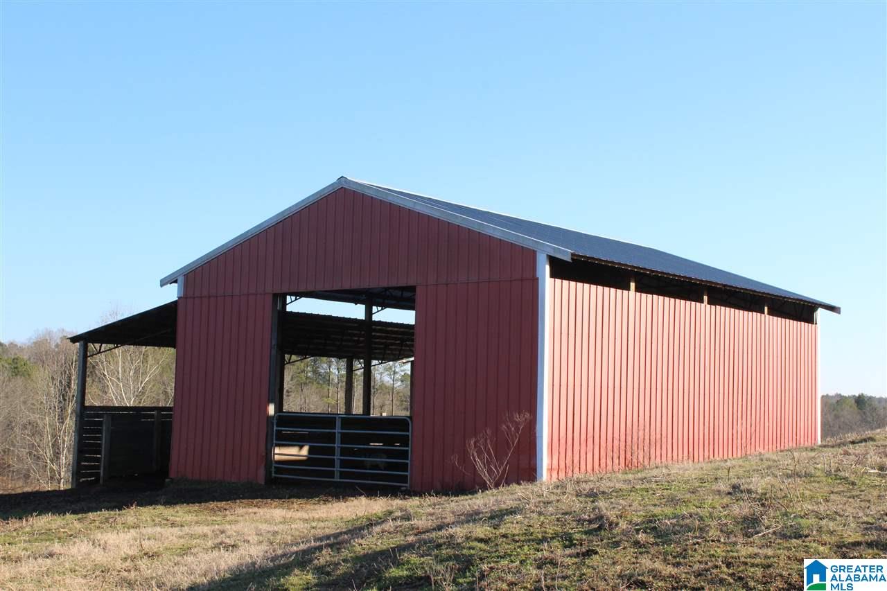 3601 Brookside Road Brilliant, AL 35548 - Photo 6 of 33