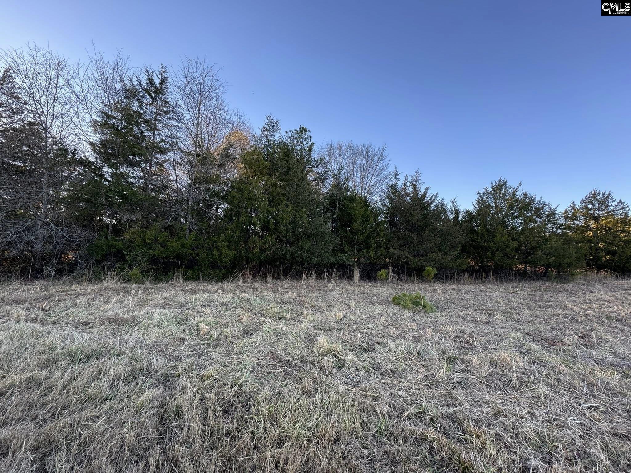 150 Floyd Lanford Road Woodruff, SC 29388 - Photo 51 of 65