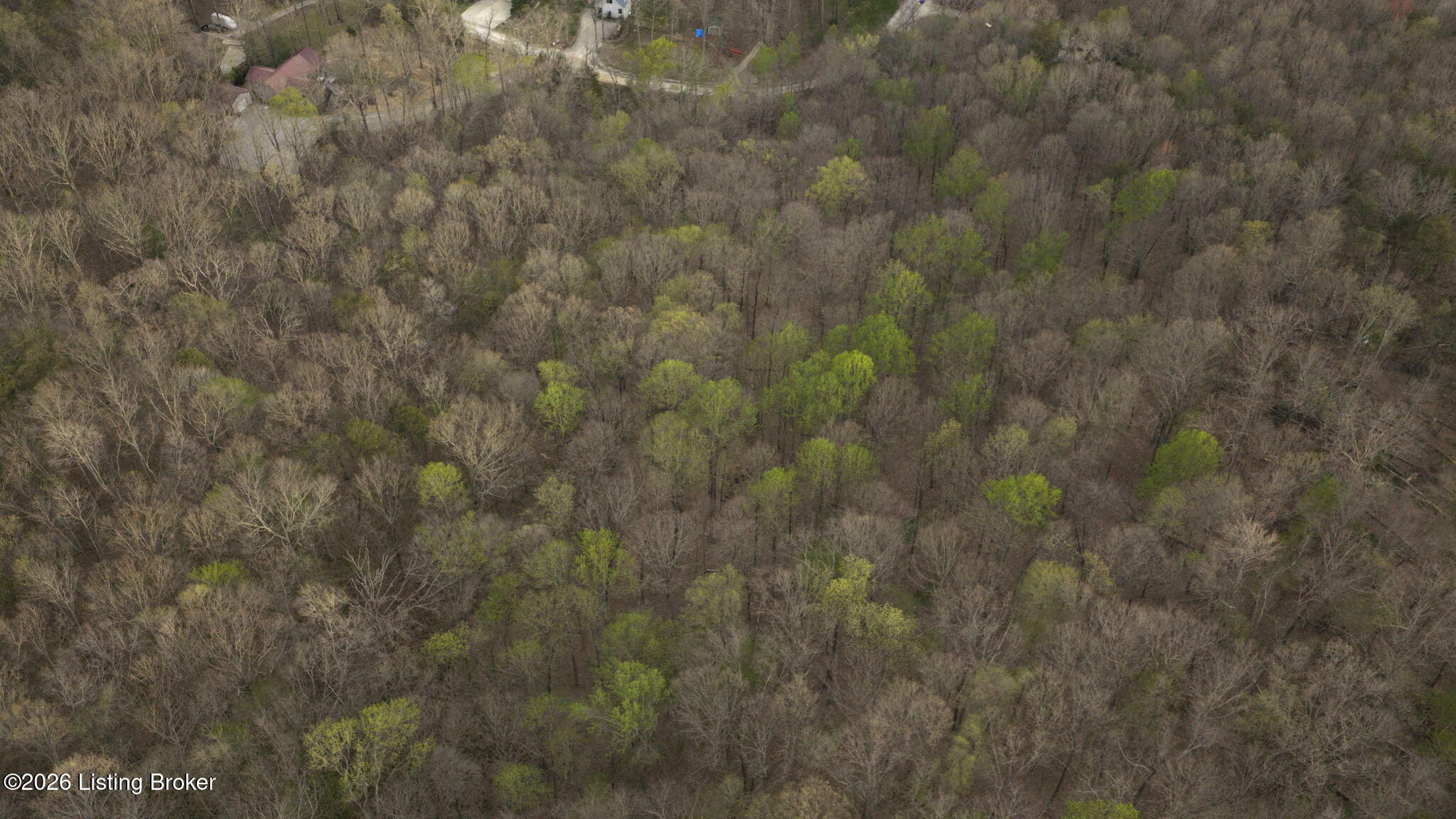 21-22 Cedar Point Road Bee Spring, KY 42207 - Photo 9 of 9 10-web-or-mls-DJI_20260402182322_0811_D