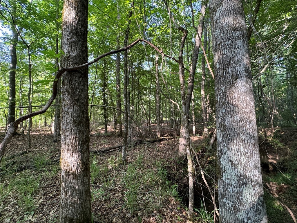 0 Trimble Road Camp Hill, AL 36850 - Photo 14 of 14 Gallery Image 14