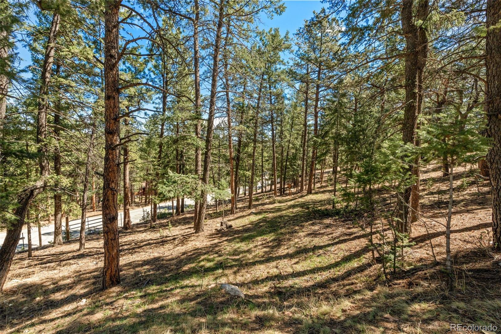 20 Long Ridge Drive Bailey, CO 80421 - Photo 37 of 41