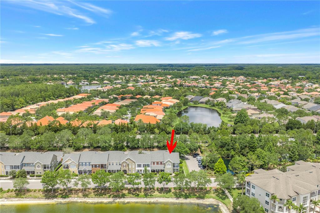 14652 Bournemouth Road Tampa, FL 33626 - Photo 76 of 78 Gallery Image 76