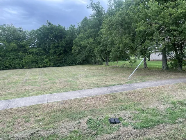 a view of a field with trees in the background