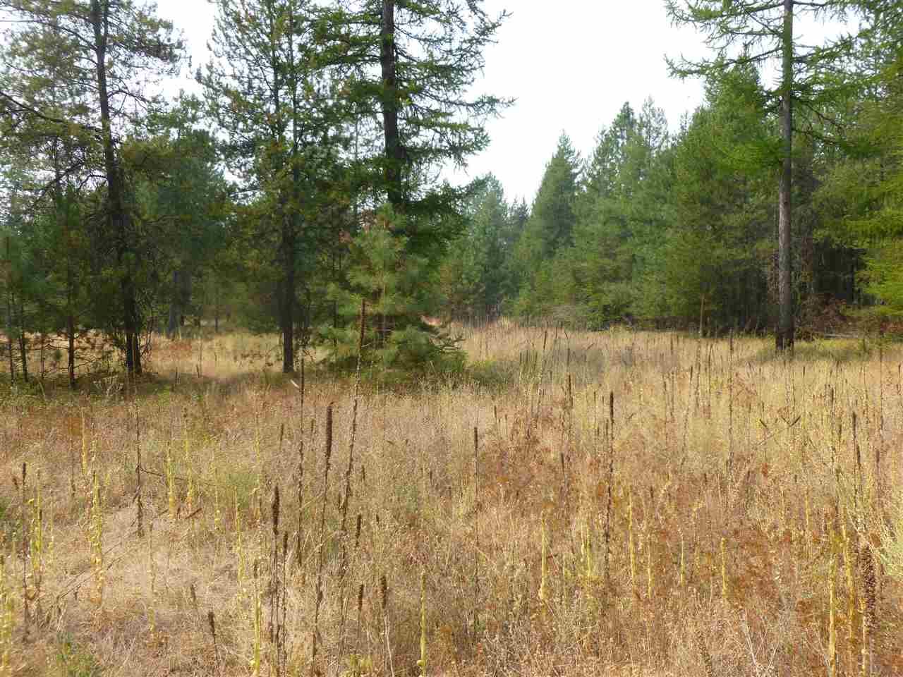 32103 North Perry Road Deer Park, WA 99006 - Photo 1 of 5 Gallery Image 1