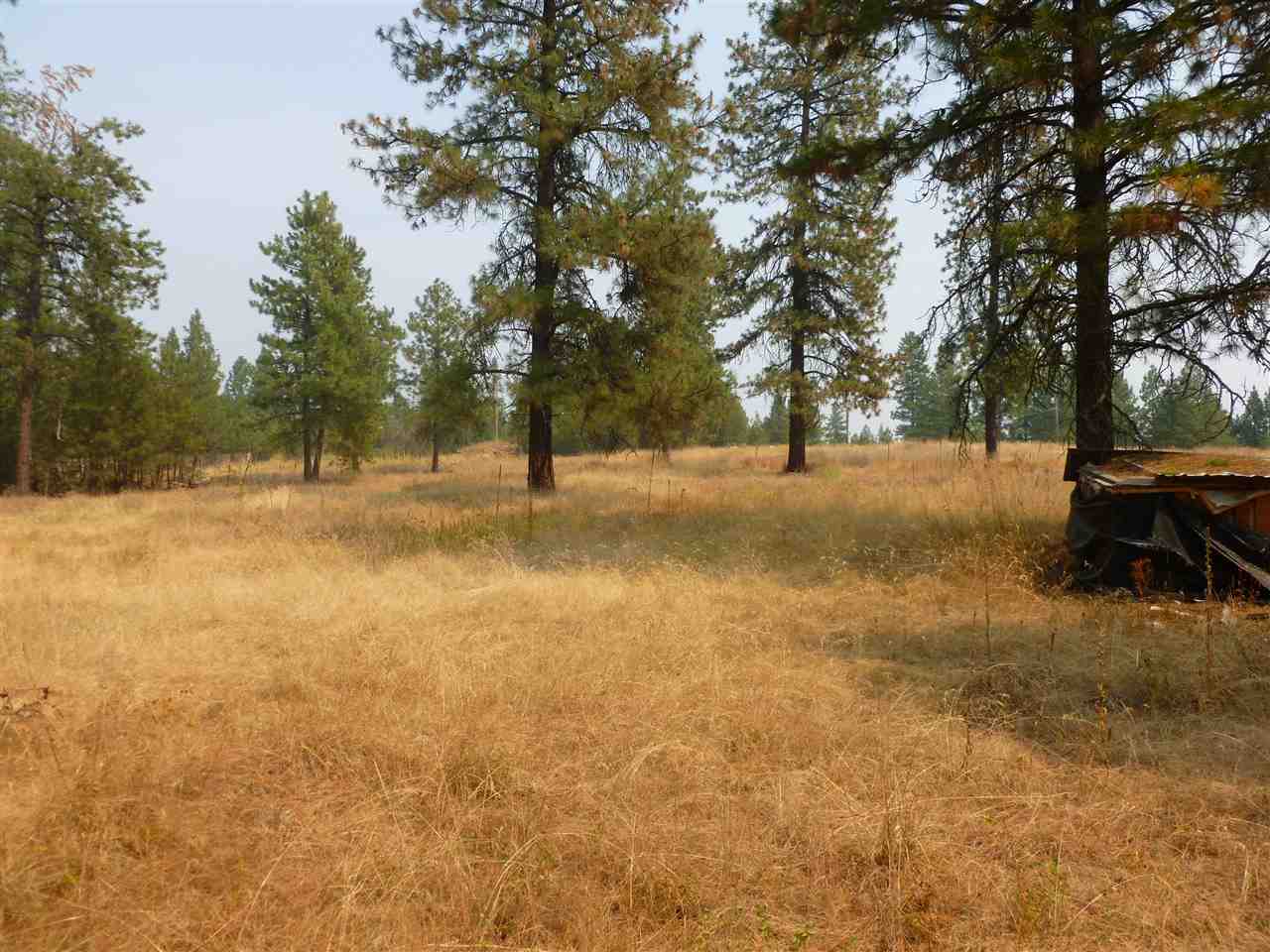 32103 North Perry Road Deer Park, WA 99006 - Photo 2 of 5 Gallery Image 2