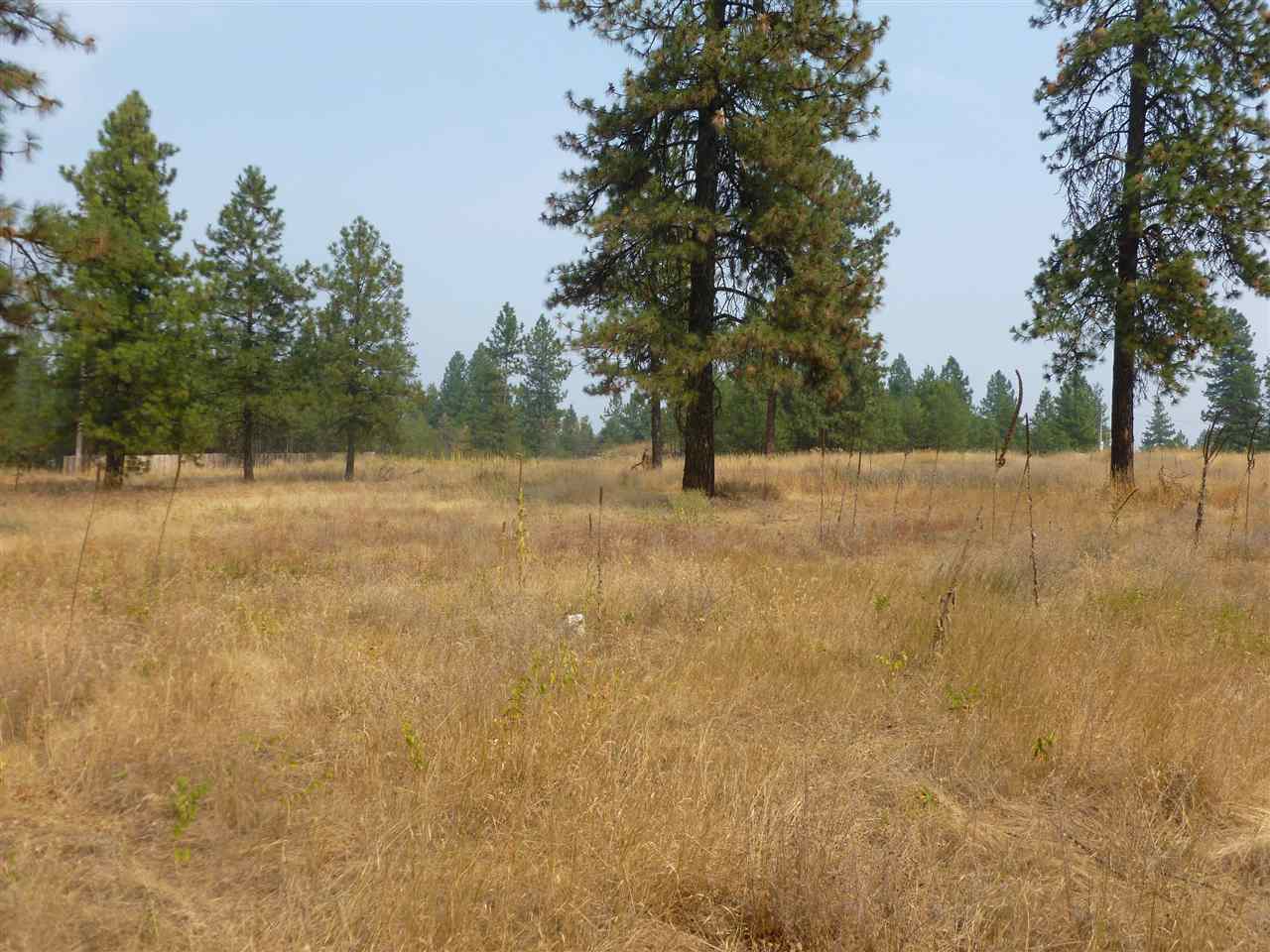 32103 North Perry Road Deer Park, WA 99006 - Photo 3 of 5 Gallery Image 3