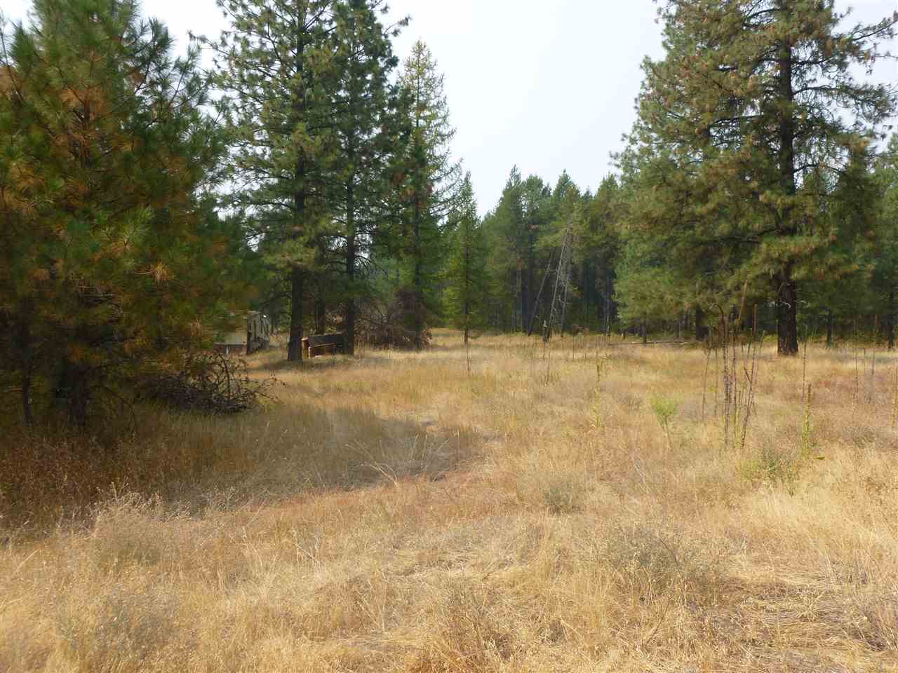 32103 North Perry Road Deer Park, WA 99006 - Photo 4 of 5 Gallery Image 4