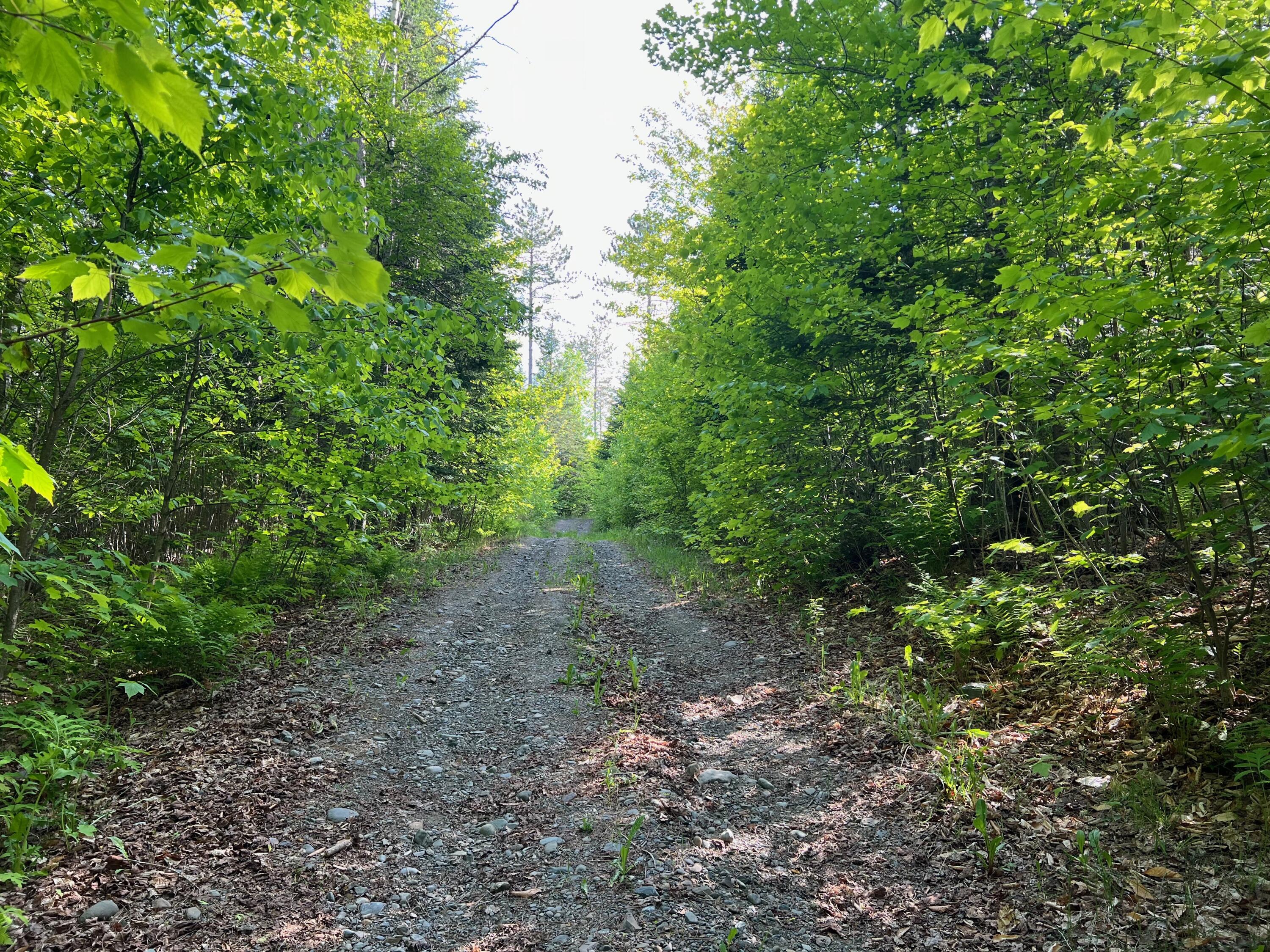 60 Hutchinson Road Linneus, ME 04730 - Photo 9 of 20 IMG_4275
