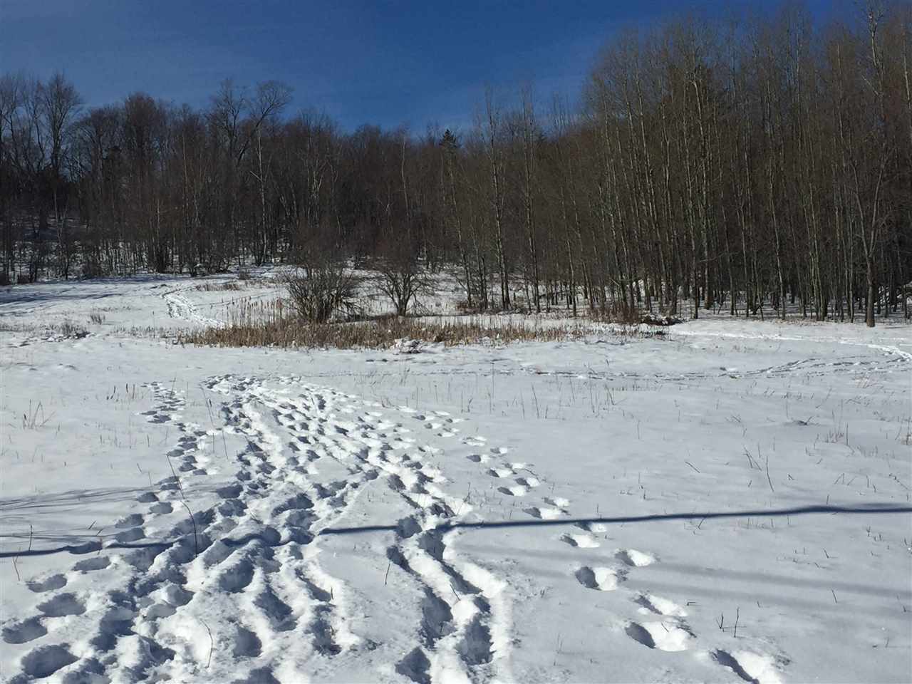 Tbd Burnor Road Jeffersonville, VT 05464 - Photo 28 of 29 Gallery Image 28