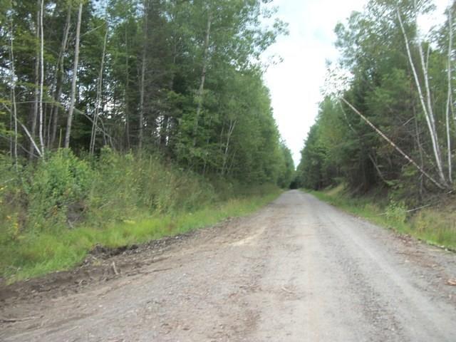 Lot P/o Railroad Bed Road Buckfield, ME 04220 - Photo 7 of 8 Photo