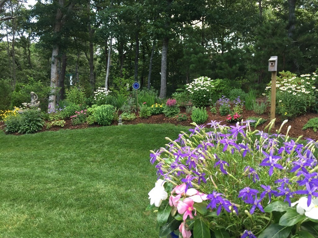 100 Round Cove Road Chatham, MA 02633 - Photo 27 of 38 a view of a flower in a garden