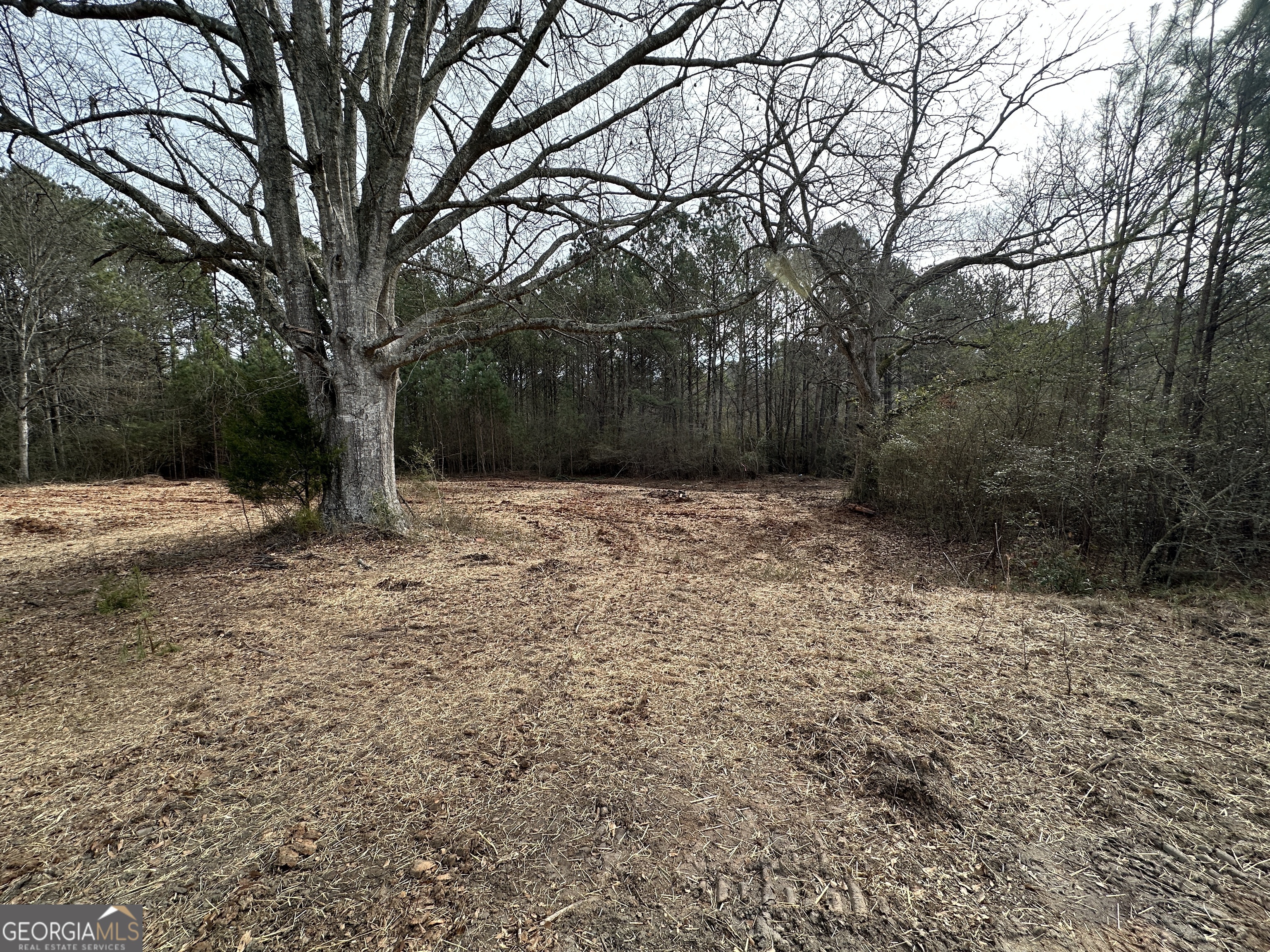 0 Victory Road, Unit LOT 1 Franklin, GA 30217 - Photo 4 of 4