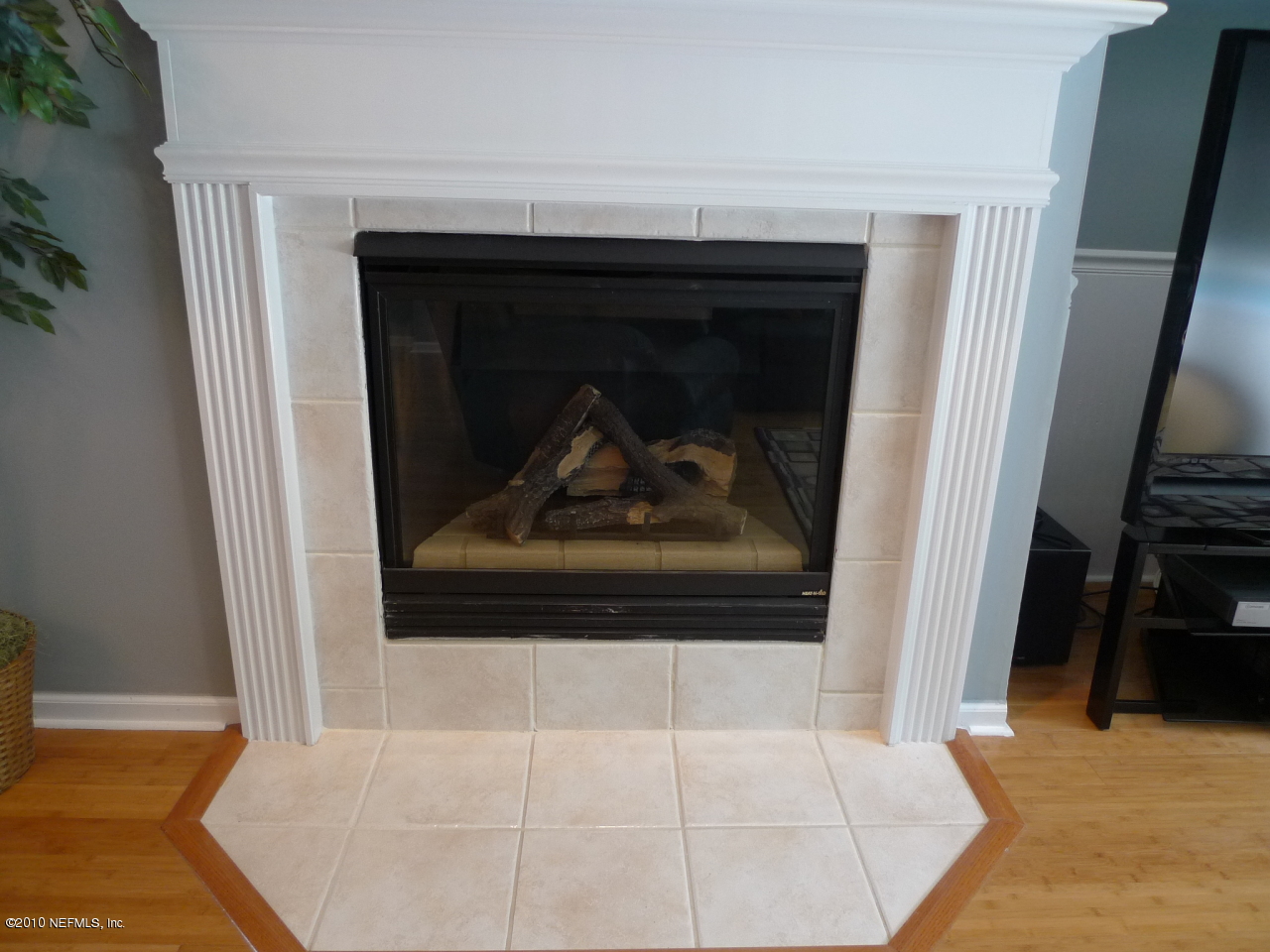 3301 Carlotta Road Middleburg, FL 32068 - Photo 13 of 16 Gas Fireplace
