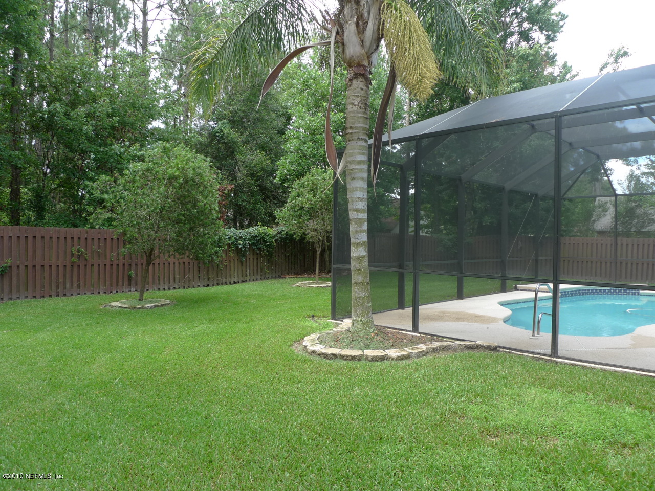 3301 Carlotta Road Middleburg, FL 32068 - Photo 15 of 16 View of Bkyard/Pool