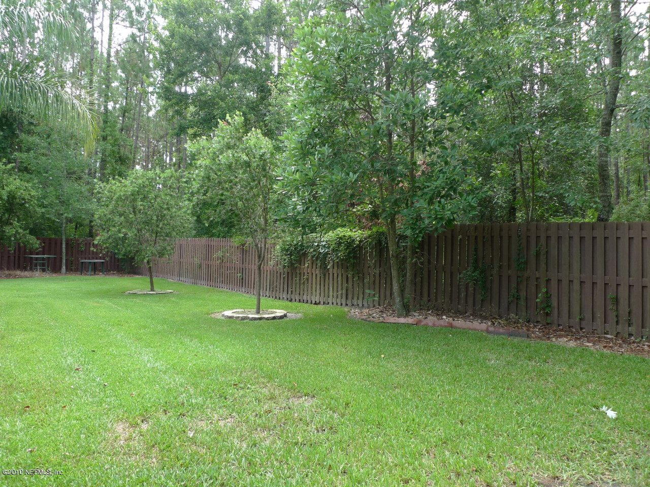 3301 Carlotta Road Middleburg, FL 32068 - Photo 16 of 16 View of Backyard/Fence