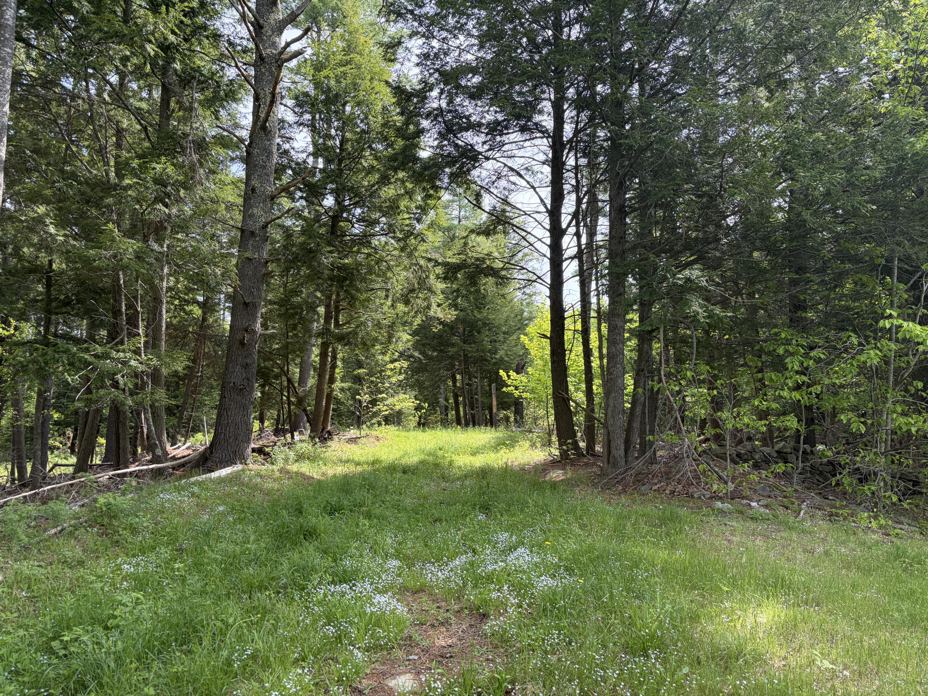 Lot 1 Waldoboro Road Washington, ME 04574 - Photo 21 of 39