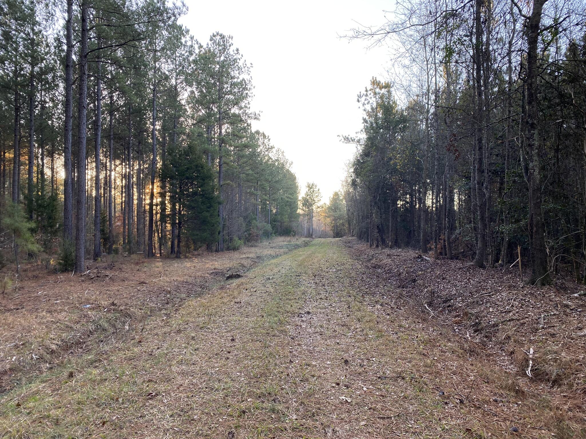 Batesburg-leesville Sc 29006 Road Leesville, SC 29070 - Photo 4 of 22