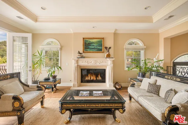 a living room with furniture a fireplace and a potted plant