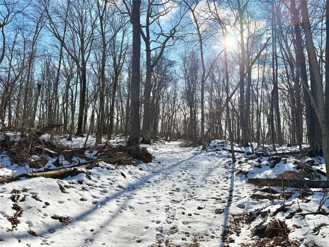 a view of a backyard of the house