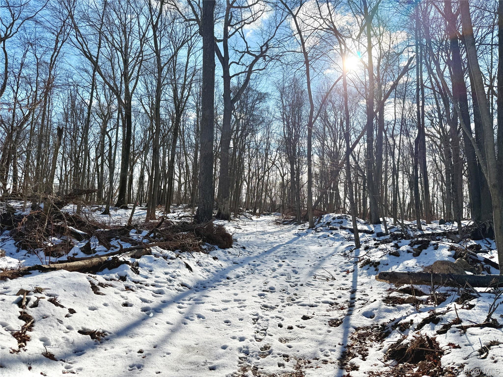 a view of a backyard of the house