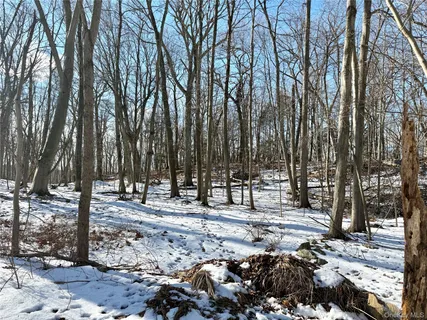 a view of road with trees