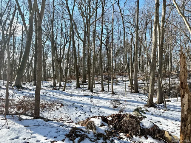 a view of road with trees