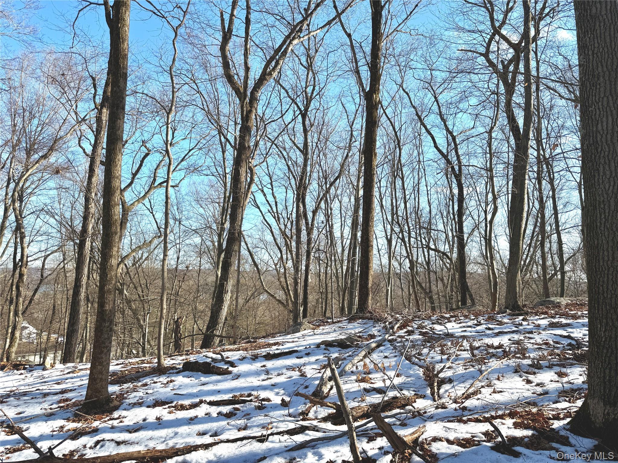 8 Maple Ridge Trail North Salem, NY 10560 - Photo 4 of 5