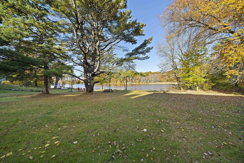 250-252 Mechanic Street Canton, MA 02021 - Photo 5 of 42 a view of outdoor space with trees all around