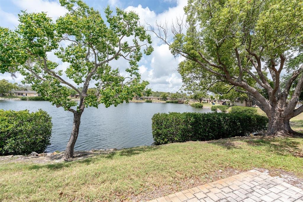 4145 Hampton Drive New Port Richey, FL 34652 - Photo 24 of 41