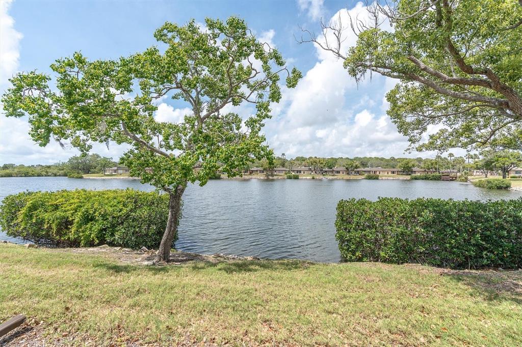 4145 Hampton Drive New Port Richey, FL 34652 - Photo 25 of 41