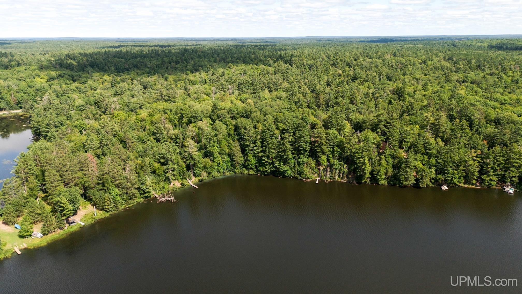 Tbd West Paint Lake Road Iron River, MI 49935 - Photo 8 of 14
