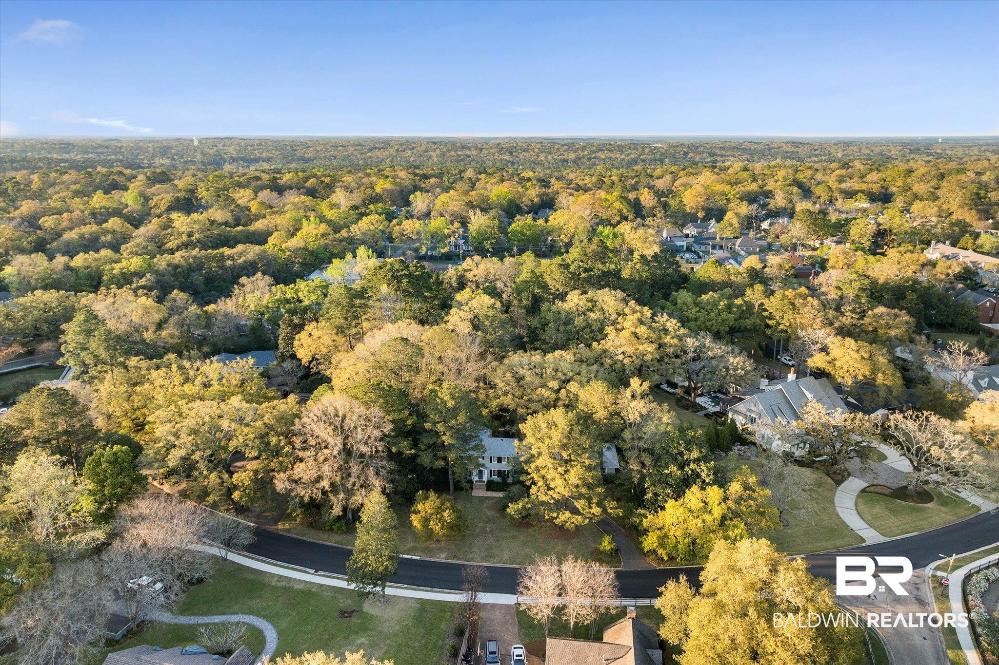 2 Westgate Road Mobile, AL 36608 - Photo 53 of 63 Aerial view of a forest