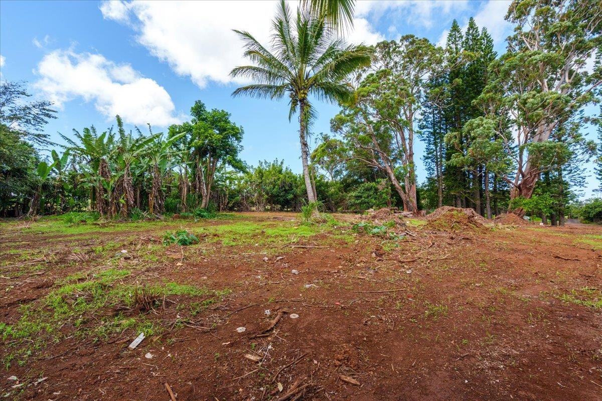 2175 Kauhikoa Road, Unit 7 Haiku, HI 96708 - Photo 5 of 21