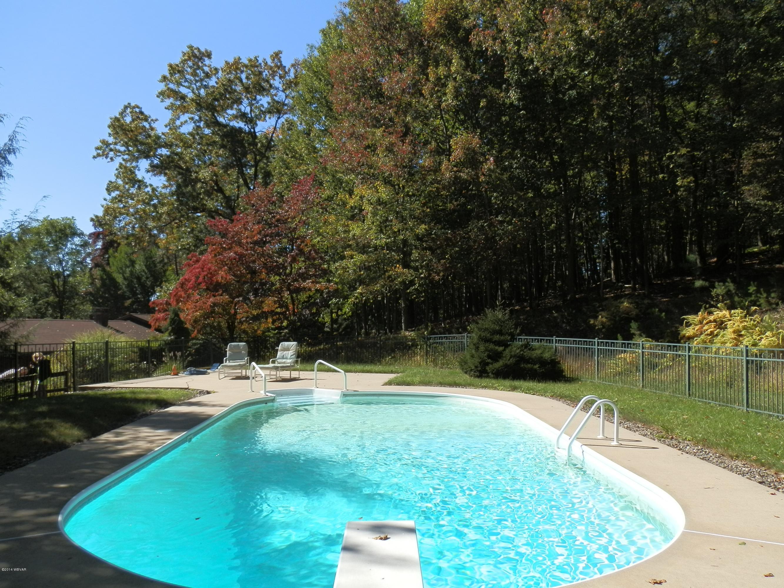 333 Upland Road Williamsport, PA 17701 - Photo 13 of 18 Pool