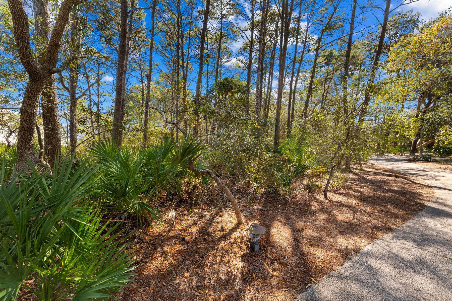 8-1 Sinclair Lane Santa Rosa Beach, FL 32459 - Photo 4 of 18 Wooded Lot 8-1