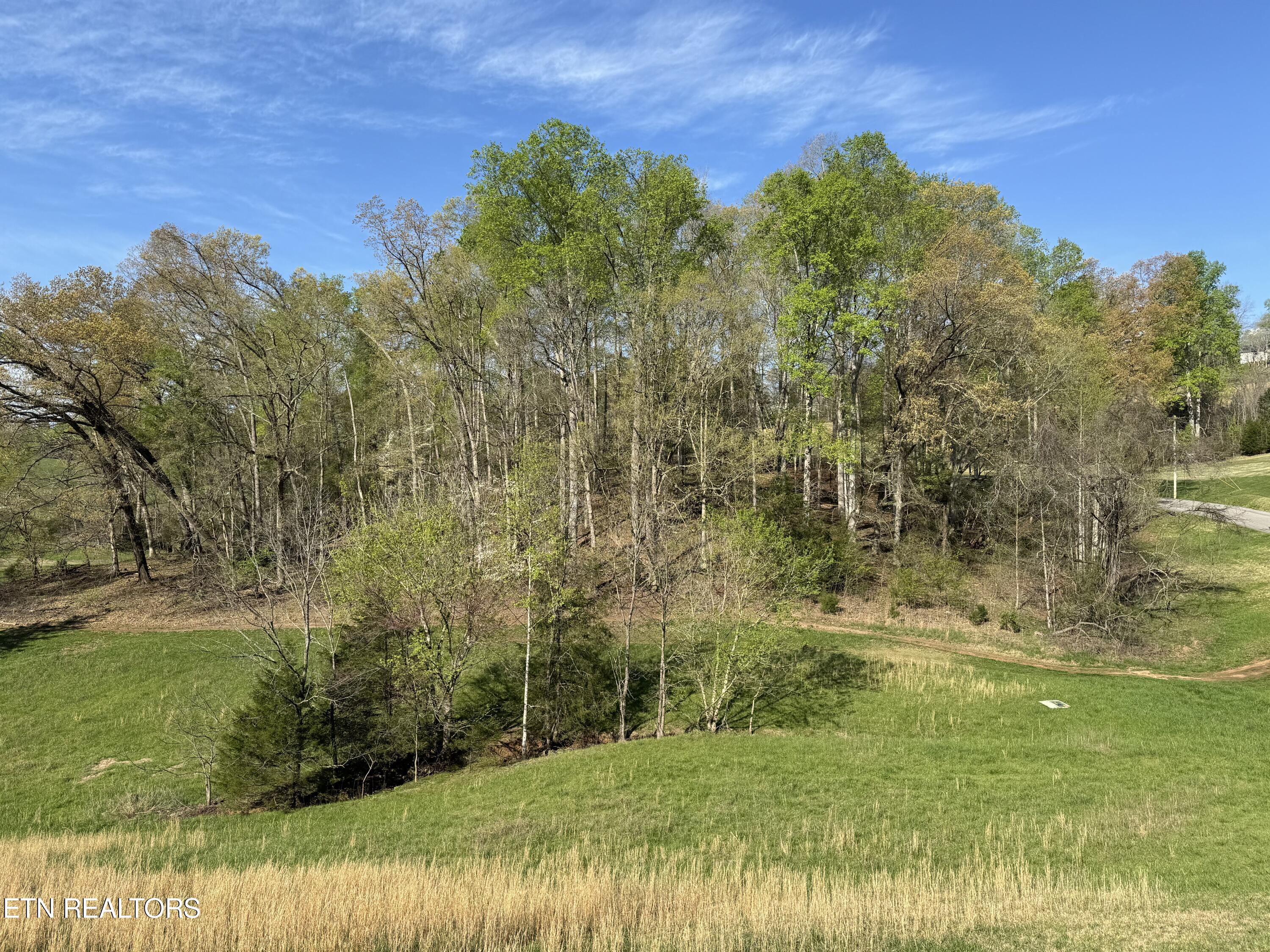Deerfield Way La Follette, TN 37766 - Photo 11 of 16 Tract 1