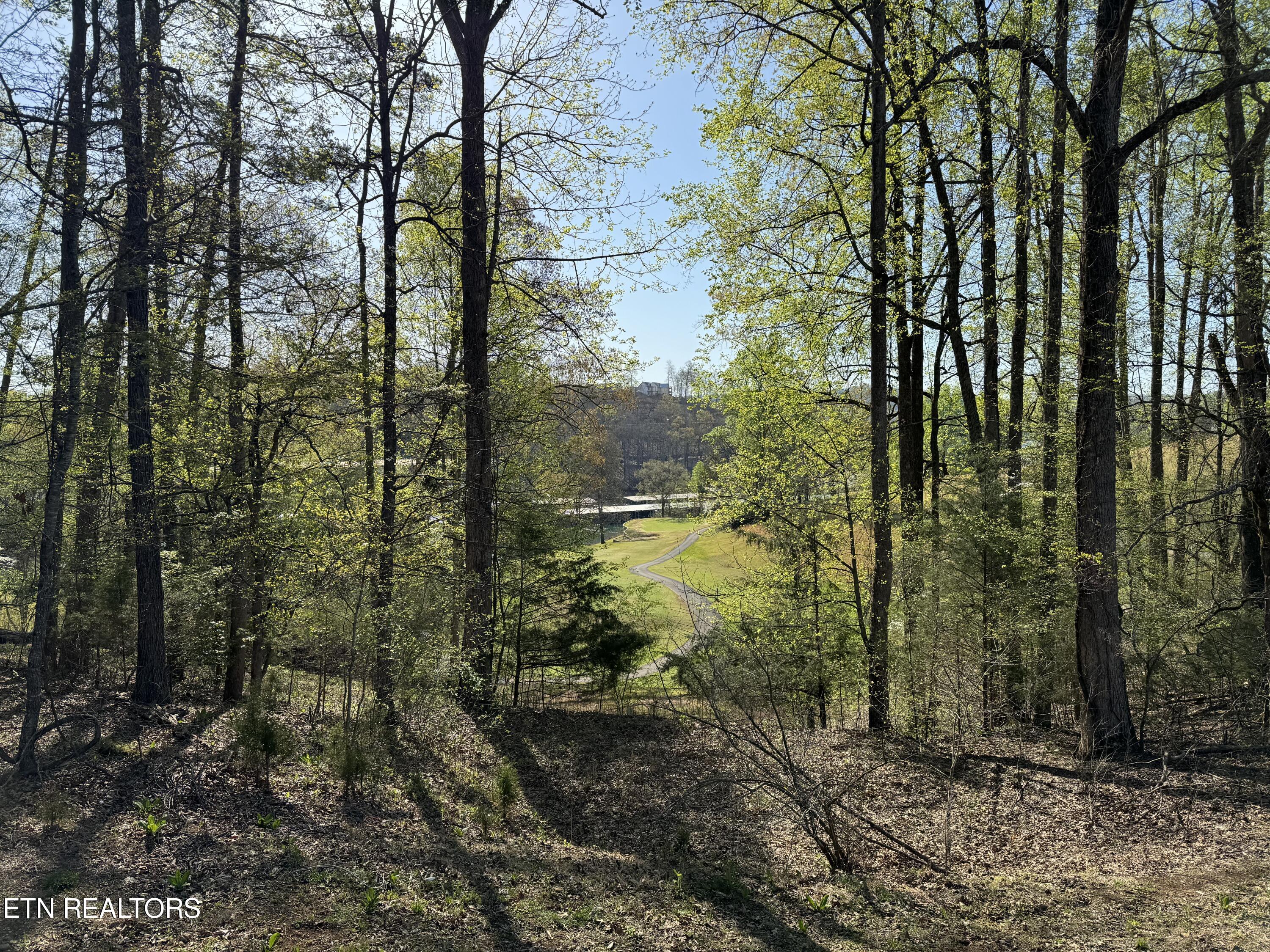 Deerfield Way La Follette, TN 37766 - Photo 12 of 16 Tract 1