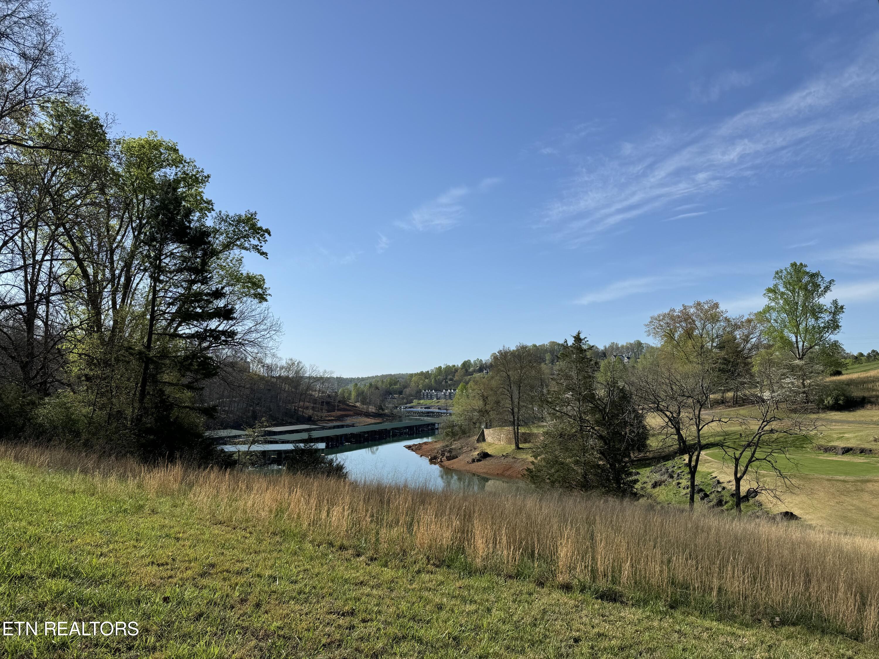 Deerfield Way La Follette, TN 37766 - Photo 9 of 16 Tract 1