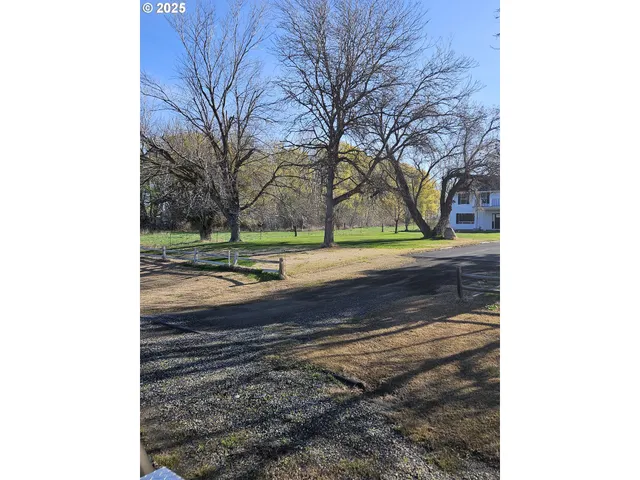 a view of a yard with large trees
