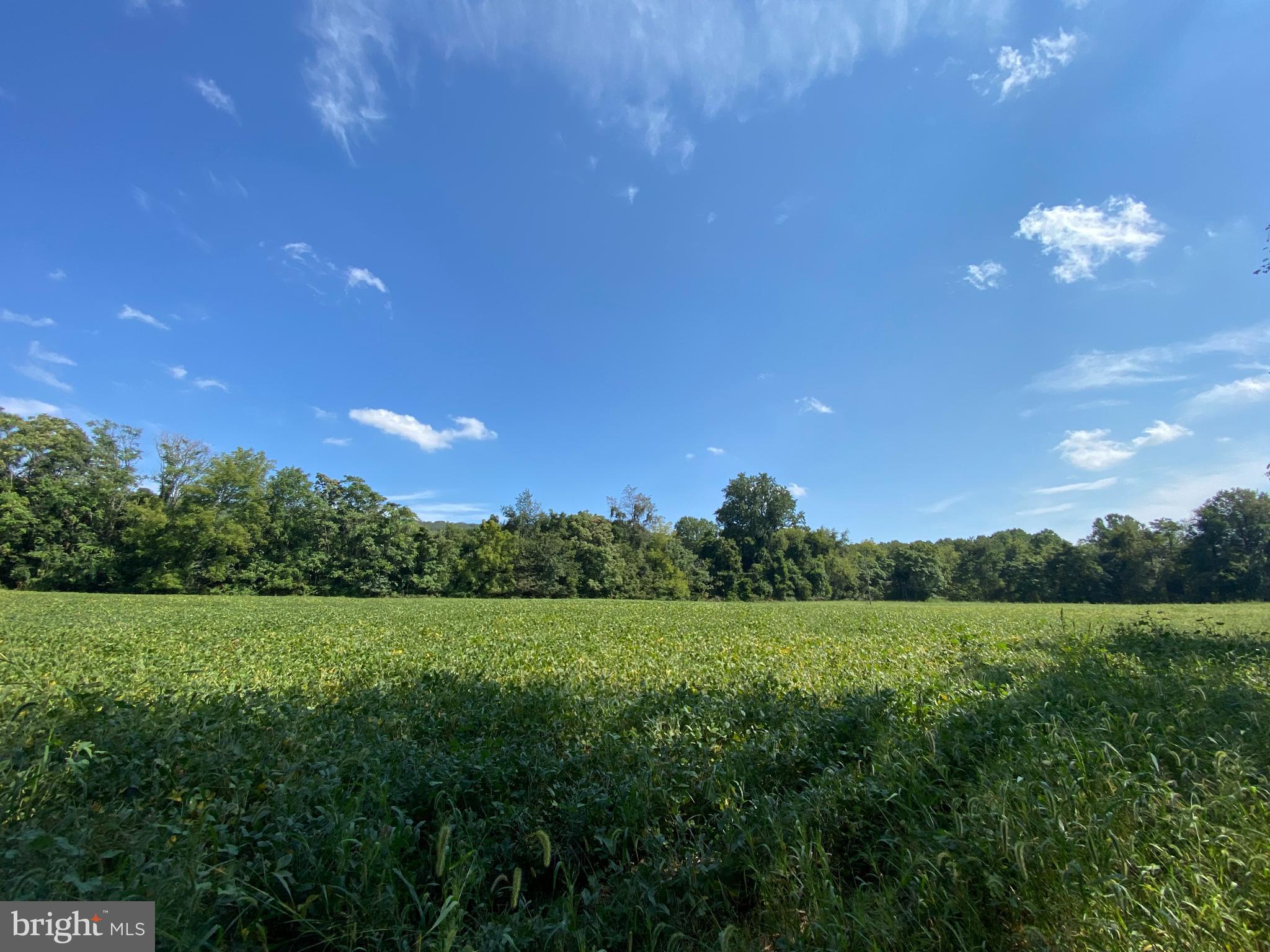 3937 Rohrersville Road, Unit LOT 2 Rohrersville, MD 21779 - Photo 2 of 16 Gallery Image 2