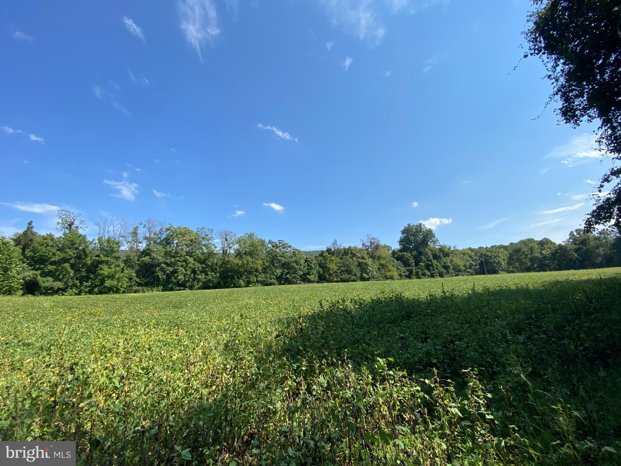3937 Rohrersville Road, Unit LOT 2 Rohrersville, MD 21779 - Photo 11 of 16 Gallery Image 11