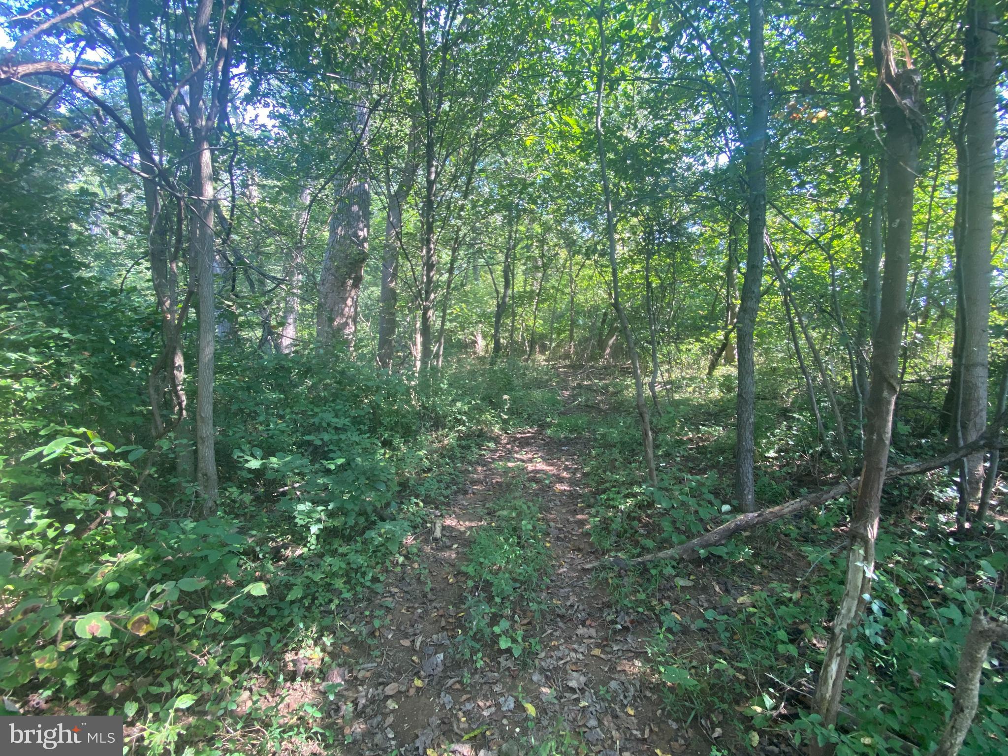 3937 Rohrersville Road, Unit LOT 2 Rohrersville, MD 21779 - Photo 4 of 16 Gallery Image 4