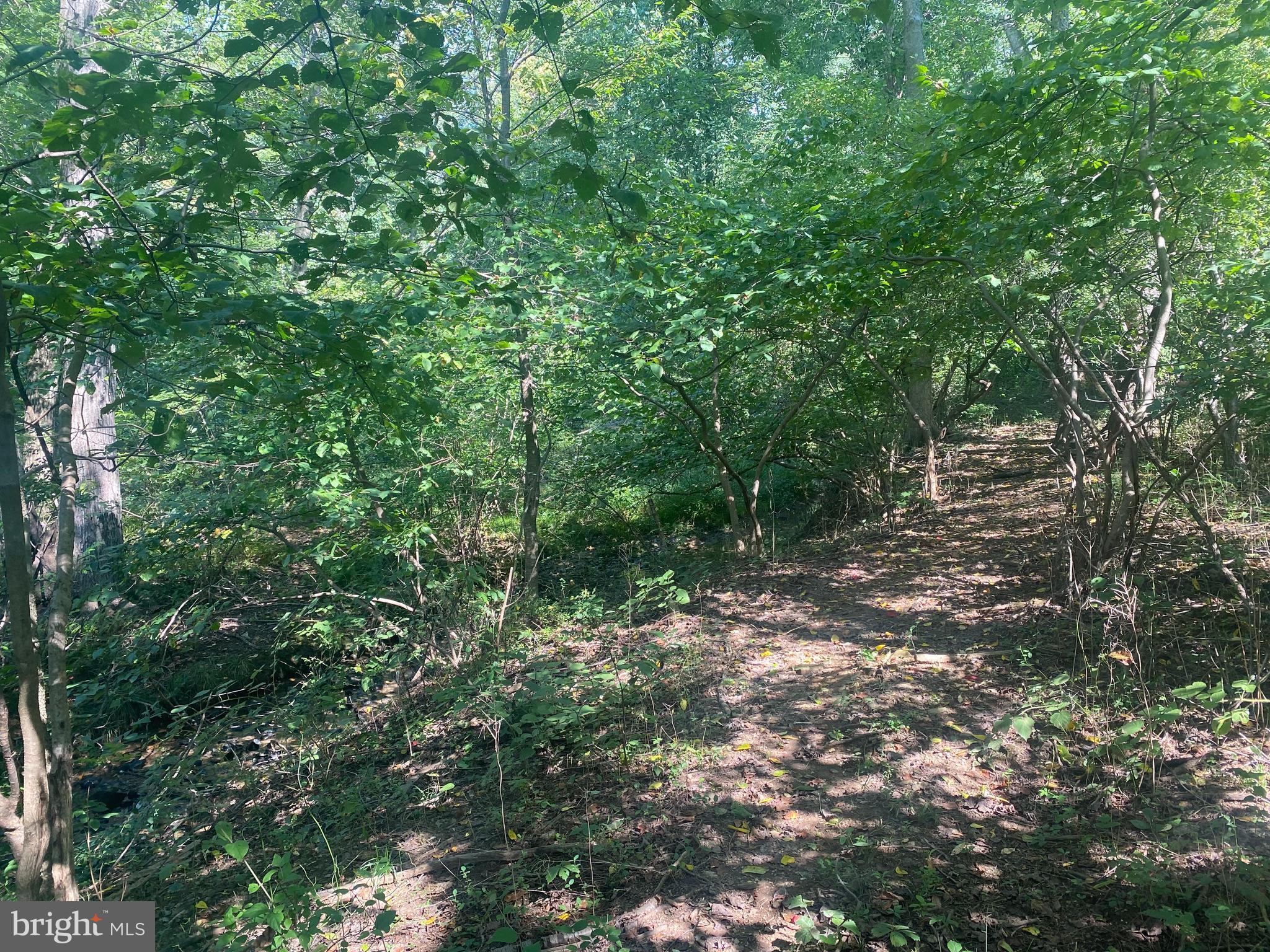 3937 Rohrersville Road, Unit LOT 2 Rohrersville, MD 21779 - Photo 5 of 16 Gallery Image 5