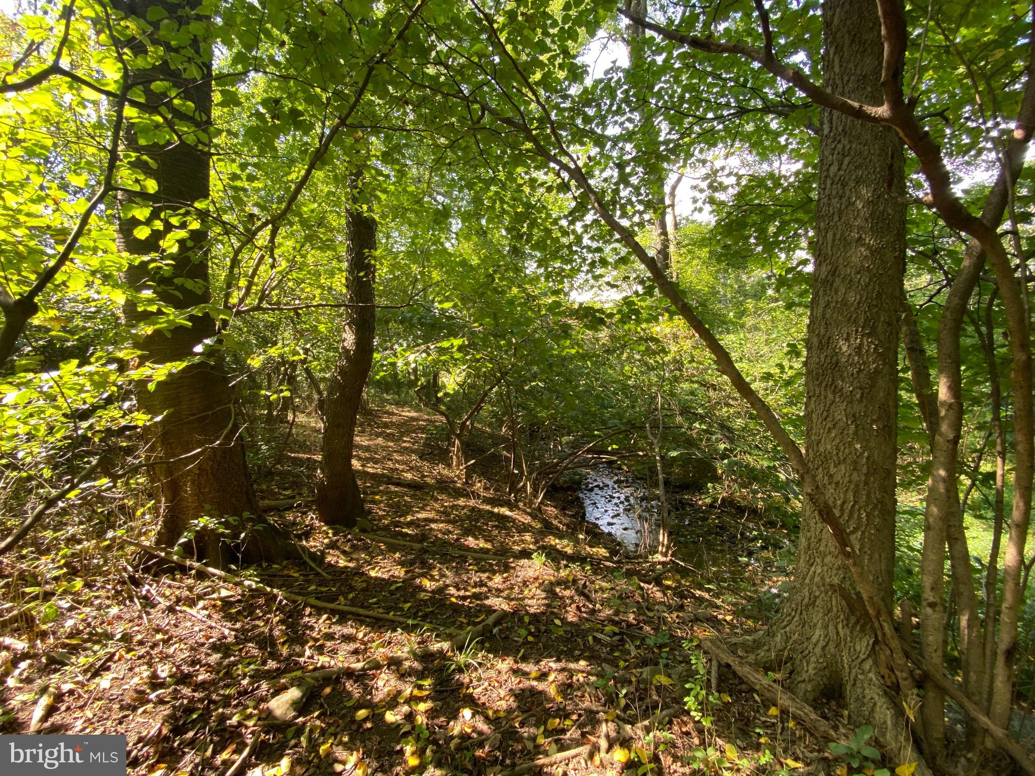 3937 Rohrersville Road, Unit LOT 2 Rohrersville, MD 21779 - Photo 6 of 16 Gallery Image 6