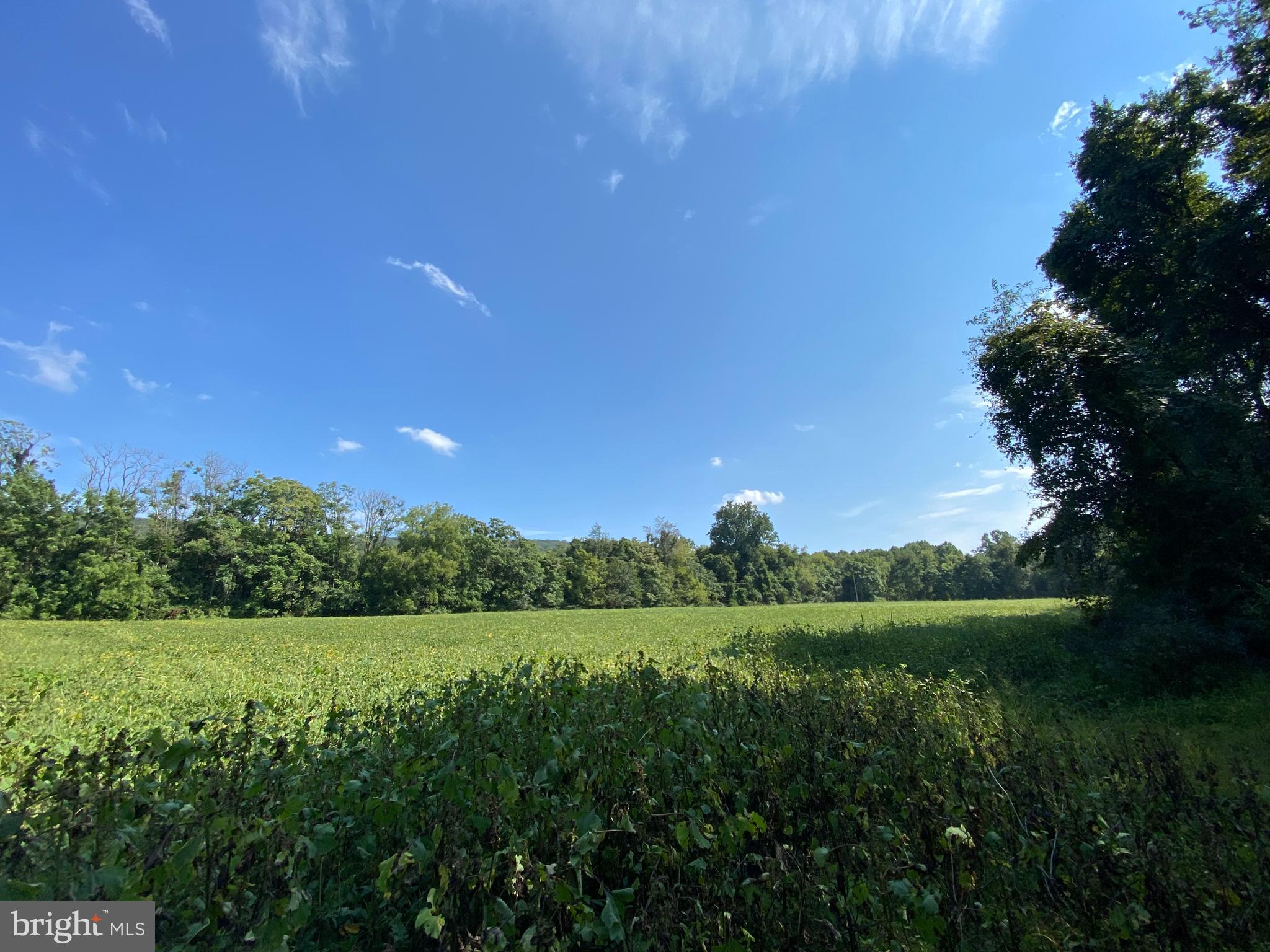 3937 Rohrersville Road, Unit LOT 2 Rohrersville, MD 21779 - Photo 7 of 16 Gallery Image 7