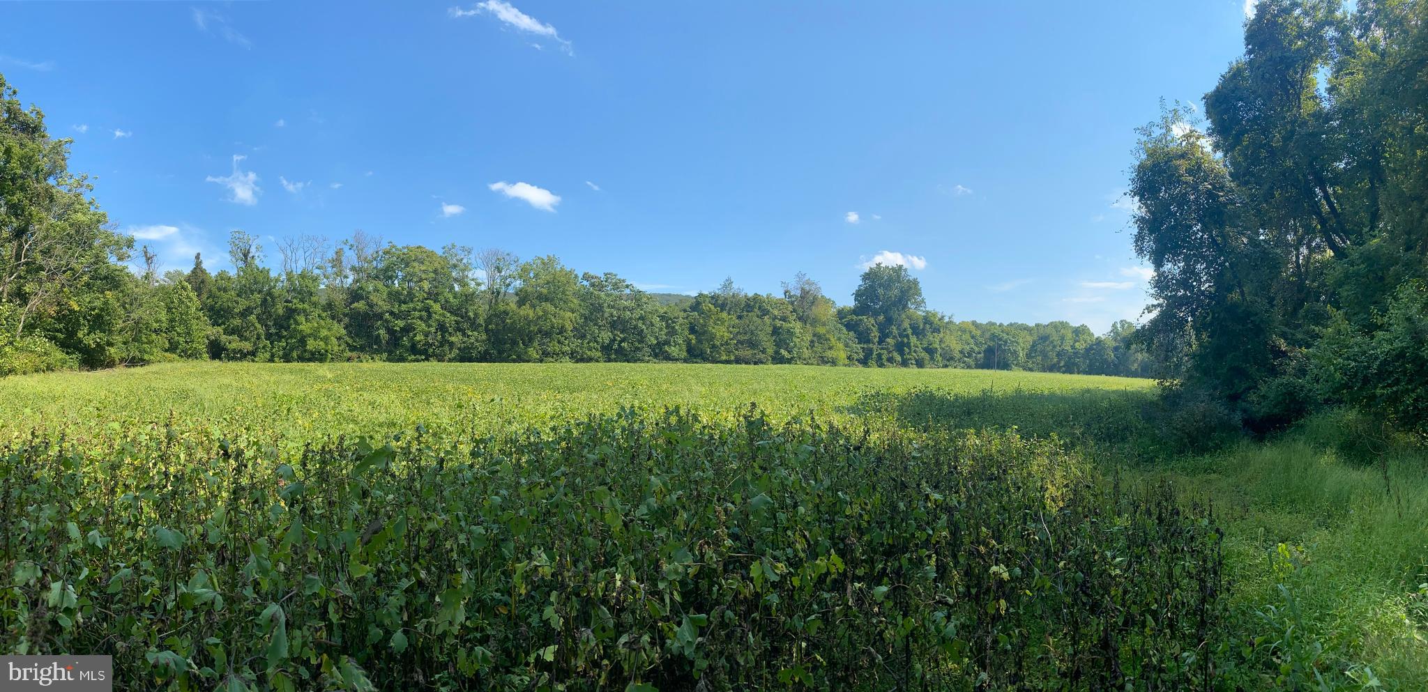 3937 Rohrersville Road, Unit LOT 2 Rohrersville, MD 21779 - Photo 8 of 16 Gallery Image 8